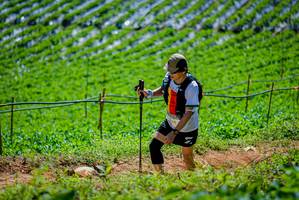 BIB: 
                            <button type="button" onclick="openModal(19164639)" class="btn btn-primary btn-sm float-right btn-popup" data-toggle="modal" data-target=".modal-high-quality">
                        <i class="fas fa-shopping-cart"></i> Add to Cart
                    </button>
                                            <button type="button" onclick="isThisMe(19164639, true)" class="btn btn-success btn-sm float-right btn-popup btn-isme hidden" data-toggle="tooltip" data-placement="bottom" title="นี่คือรูปของคุณใช่ไหม คลิกที่นี่เพื่อเอาเข้าอัลบั้ม">
                        <i class="fas fa-plus"></i> Add to album
                    </button>
                    <button type="button" onclick="isThisMe(19164639, false)" class="btn btn-warning btn-sm float-right btn-popup btn-isnotme hidden">
                        <i class="fas fa-ban"></i> Remove from album
                    </button>